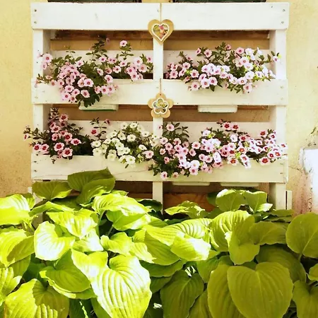 Casa Pelaire - Casa Entera 10 Pax En Panticosa